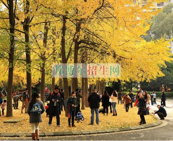 成都移動通信技術(shù)什么時(shí)間招生