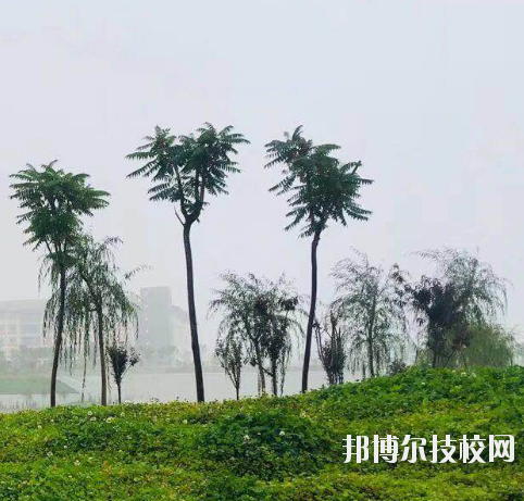 甘肅財(cái)貿(mào)職業(yè)學(xué)院2020年學(xué)費(fèi)、收費(fèi)多少