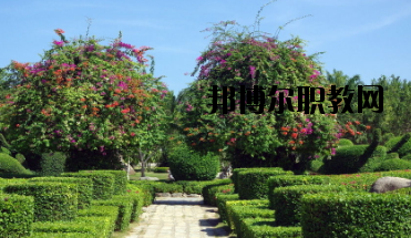 甘南畜牧學(xué)校怎么樣、好不好