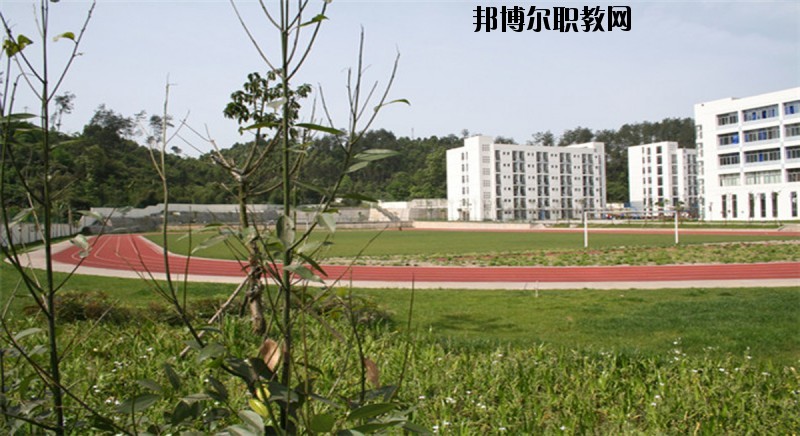 四川省商務(wù)學(xué)校2020年有哪些專(zhuān)業(yè)