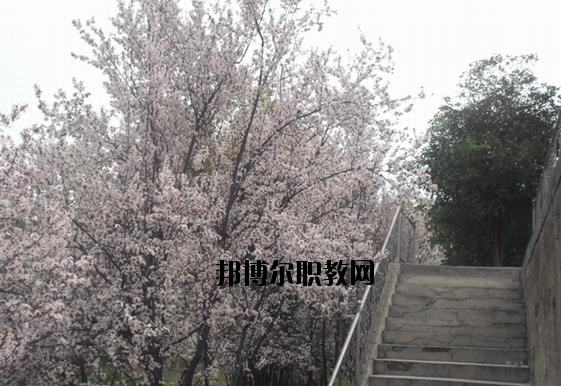 ?？德毥讨行膶W(xué)校網(wǎng)址網(wǎng)站