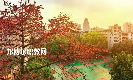 廣東省商業(yè)職業(yè)技術(shù)學(xué)校怎么樣、好不好