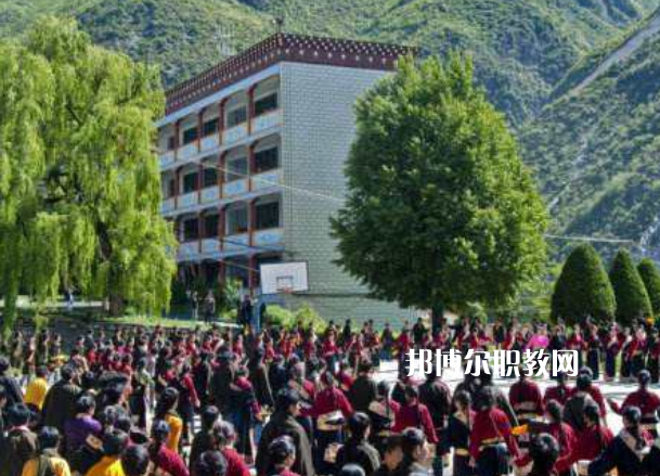 四川省藏文學(xué)校2022年報(bào)名條件、招生要求、招生對(duì)象