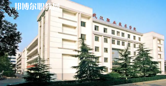 2023湖北十大?？茖W(xué)校名單及排行榜