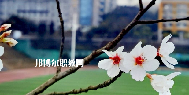 2023眉山技師學院招生計劃 招生人數是多少(附要求、條件、對象)