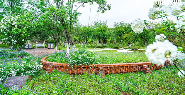重慶望江技工學(xué)校地址在哪里，哪個(gè)地區(qū)，哪個(gè)城市?