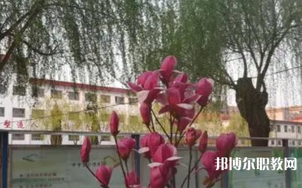 2023柏鄉(xiāng)縣職教中心招生計劃 招生人數(shù)是多少(附要求、條件、對象)