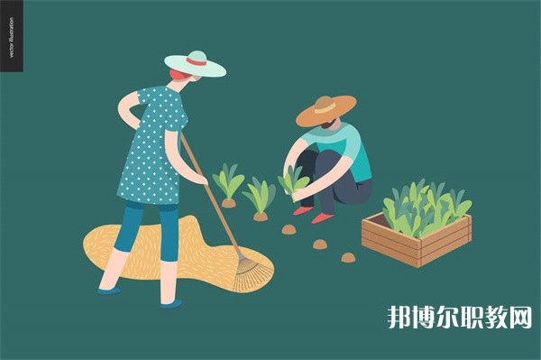 河南哪里的中職學校能讀計算機應(yīng)用與維修專業(yè)