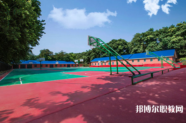 重慶2024年初中沒(méi)畢業(yè)可不可以讀中專