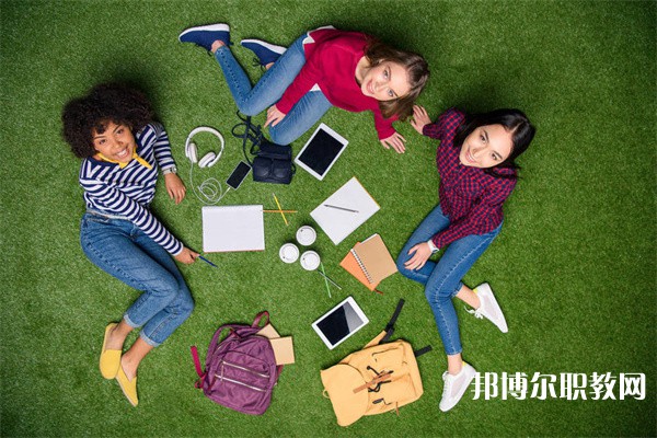 湖北哪里的中職學校能讀計算機及應用專業(yè)